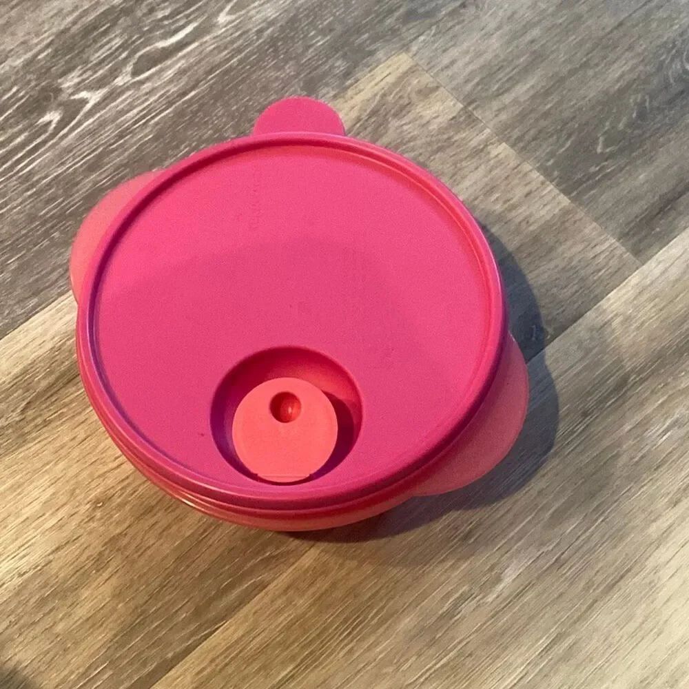 Tupperware 3859A-1 Divided Compartment Microwavable Bowl With Lid 2649F-4